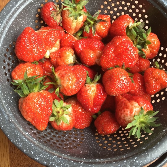 Meet your Posher, Sarah - Picture 5 of 8